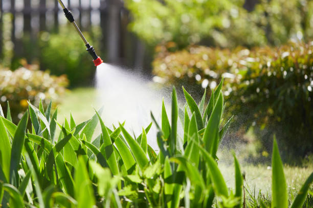 24/7 Emergency Wasp Removal experts in Forreston, IL
