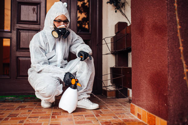 Reliable Wasp Removal contractor in Forreston, IL by Show Me Pest Control