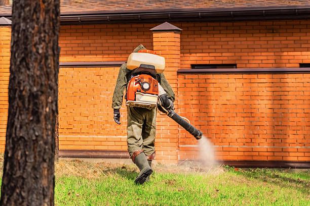 Top rated local Wasp Removal specialists in Forreston, IL